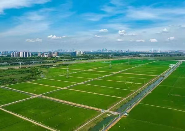 微信图片_20220829142005.jpg