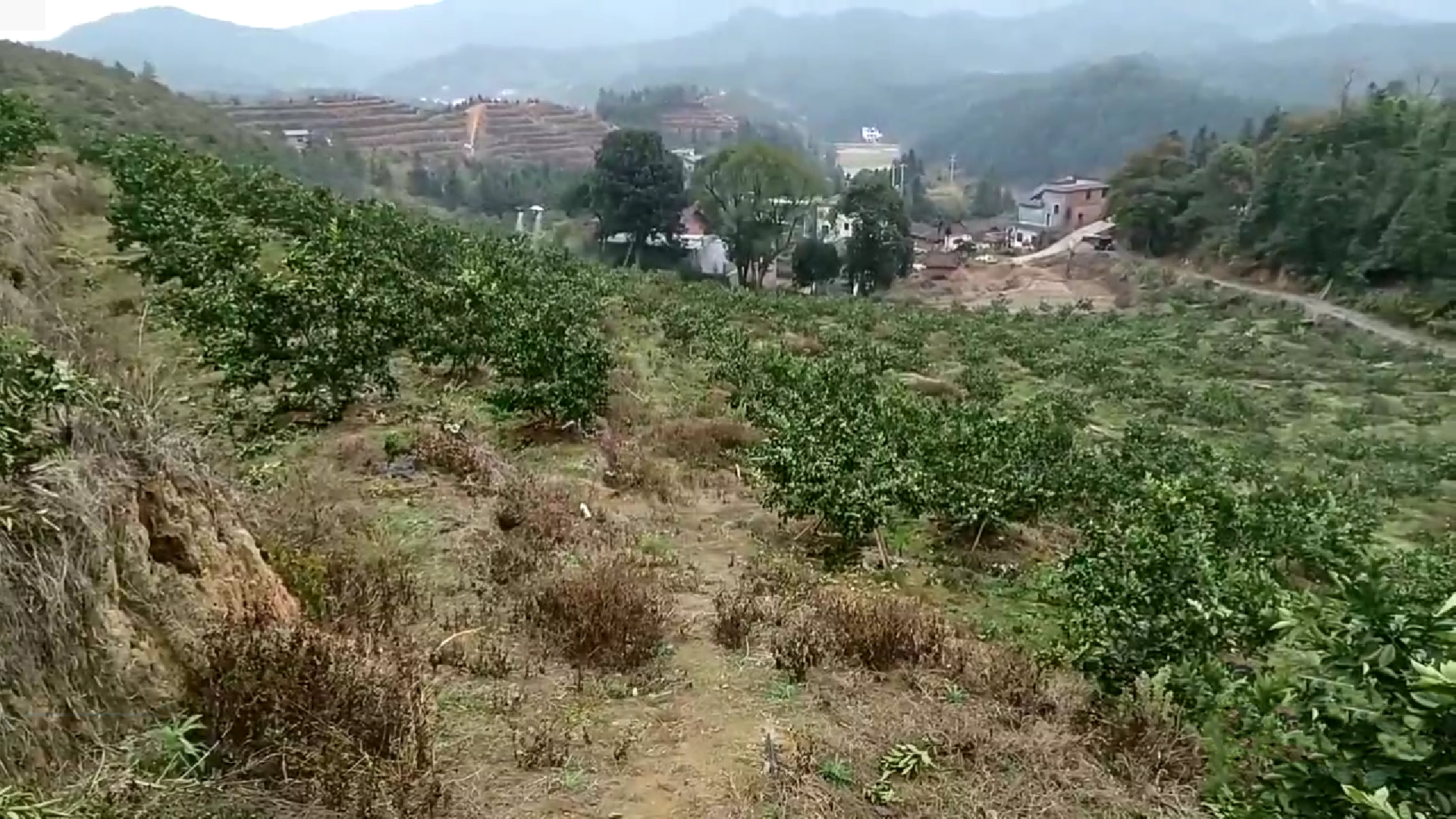 微信图片_20230131095720.png